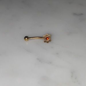 Internally Threaded Eyebrow/Rook Piercing